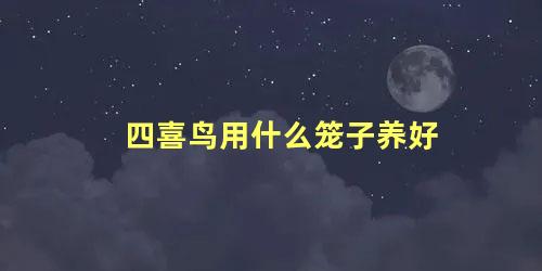 四喜鸟用什么笼子养好