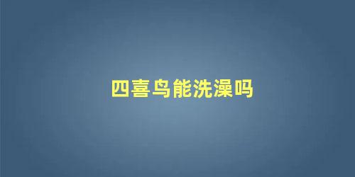 四喜鸟能洗澡吗