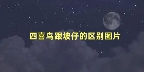 四喜鸟跟坡仔的区别图片