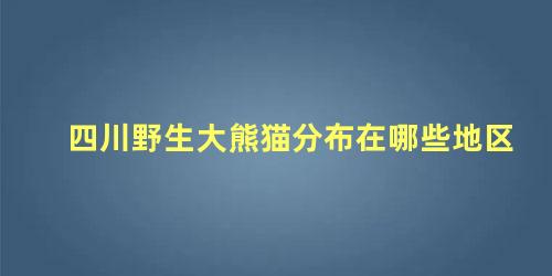 四川野生大熊猫分布在哪些地区