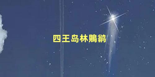 四王岛林鵙鹟