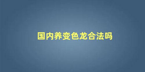 国内养变色龙合法吗