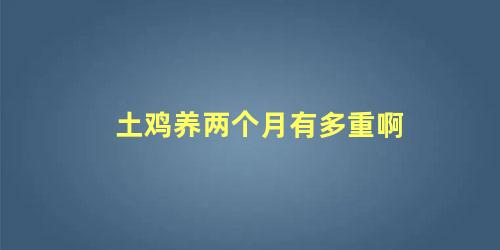土鸡养两个月有多重啊