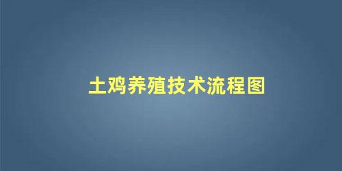 土鸡养殖技术流程图