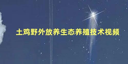 土鸡野外放养生态养殖技术视频
