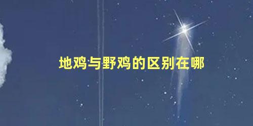地鸡与野鸡的区别在哪