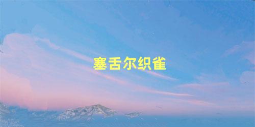 塞舌尔织雀