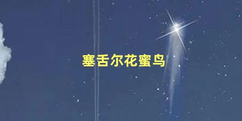 塞舌尔花蜜鸟