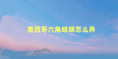 墨西哥六角蝾螈怎么养