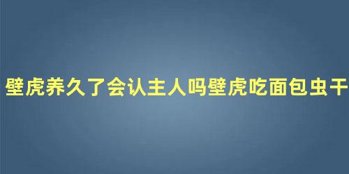壁虎养久了会认主人吗壁虎吃面包虫干吗