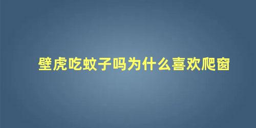 壁虎吃蚊子吗为什么喜欢爬窗