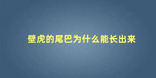 壁虎的尾巴为什么能长出来