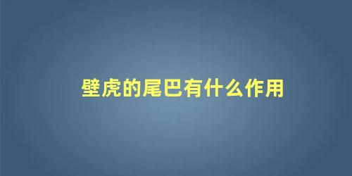 壁虎的尾巴有什么作用