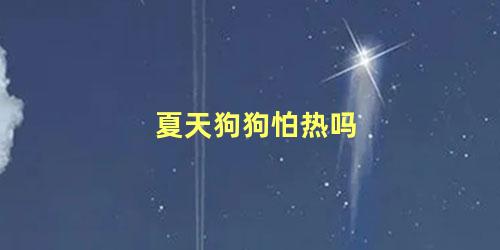 夏天狗狗怕热吗