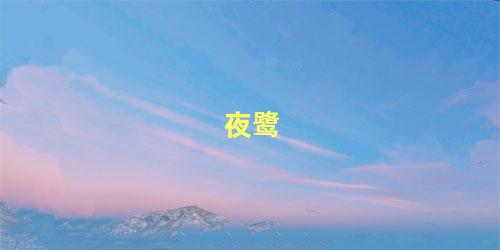 夜鹭