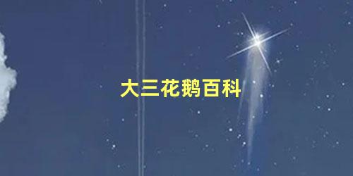 大三花鹅百科