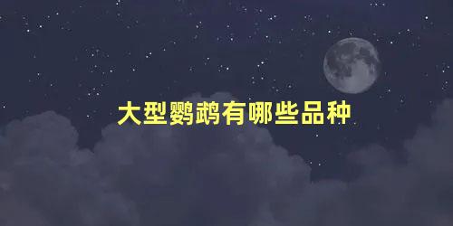 大型鹦鹉有哪些品种