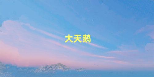 大天鹅