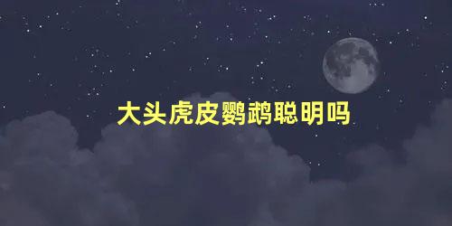 大头虎皮鹦鹉聪明吗