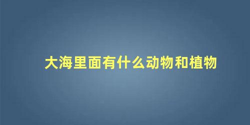 大海里面有什么动物和植物