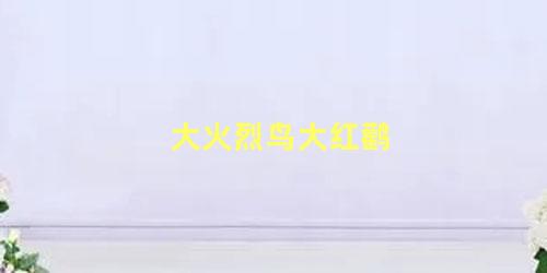 大火烈鸟大红鹳