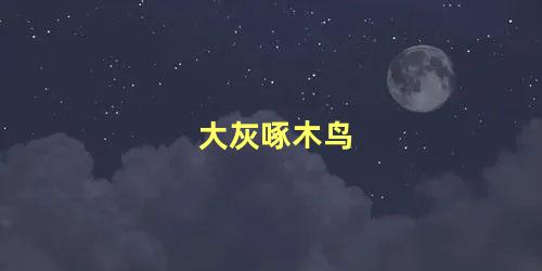 大灰啄木鸟