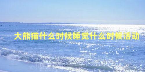 大熊猫什么时候睡觉什么时候活动