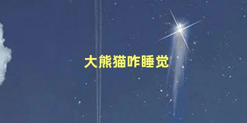 大熊猫咋睡觉