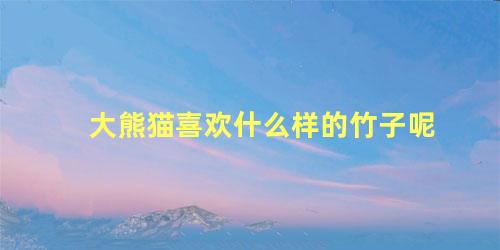 大熊猫喜欢什么样的竹子呢