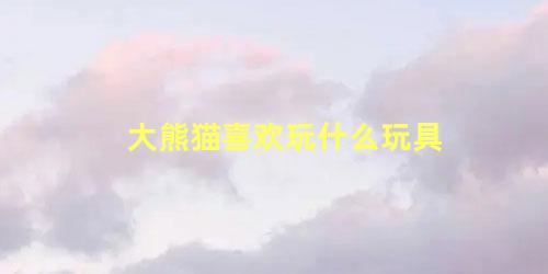 大熊猫喜欢玩什么玩具