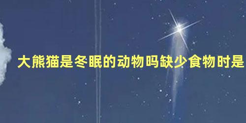 大熊猫是冬眠的动物吗缺少食物时是