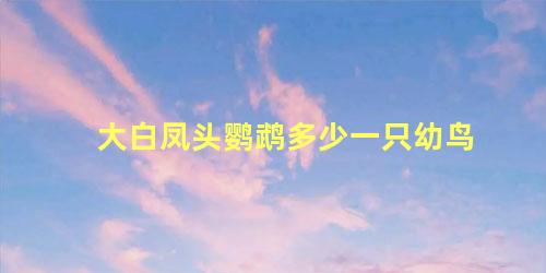 大白凤头鹦鹉多少一只幼鸟