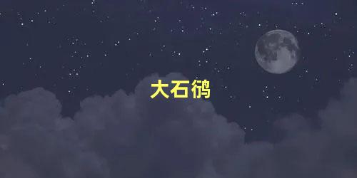大石鸻