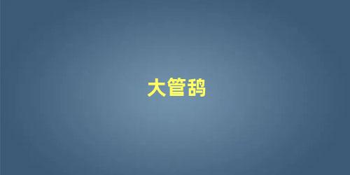 大管鸹