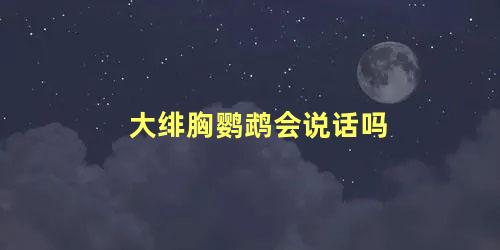 大绯胸鹦鹉会说话吗