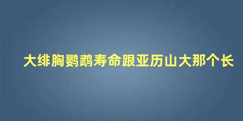 大绯胸鹦鹉寿命跟亚历山大那个长