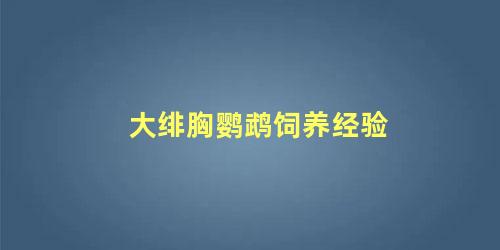 大绯胸鹦鹉饲养经验