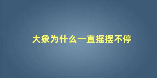 大象为什么一直摇摆不停