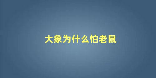 大象为什么怕老鼠