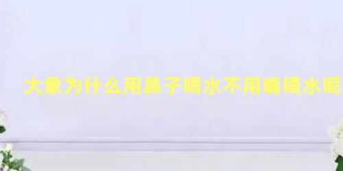 大象为什么用鼻子喝水不用嘴喝水呢