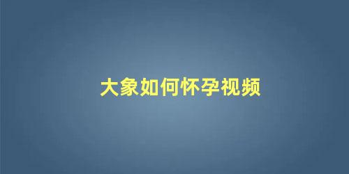 大象如何怀孕视频