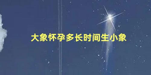 大象怀孕多长时间生小象