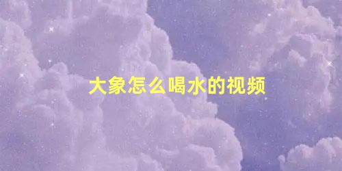 大象怎么喝水的视频
