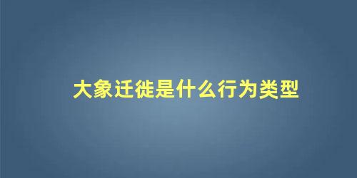 大象迁徙是什么行为类型