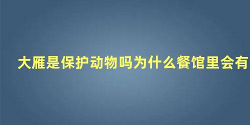 大雁是保护动物吗为什么餐馆里会有