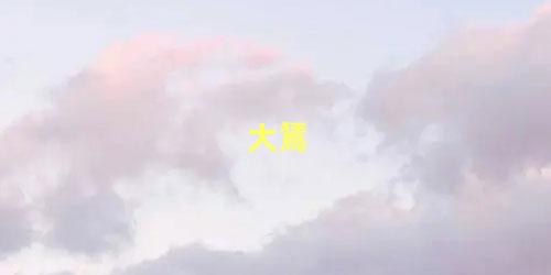 大鵟