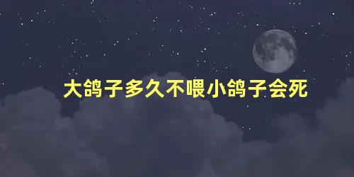 大鸽子多久不喂小鸽子会死