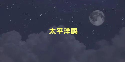 太平洋鸥