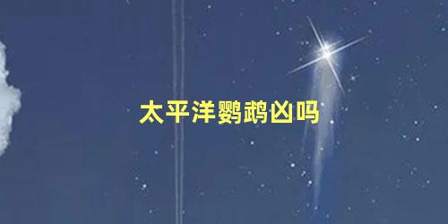 太平洋鹦鹉凶吗