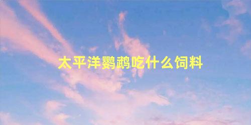 太平洋鹦鹉吃什么饲料
